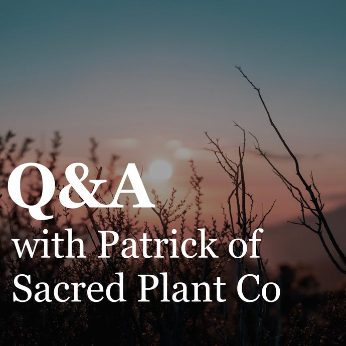 Q & A with Patrick of Sacred Plant Co! Herbal History & More!