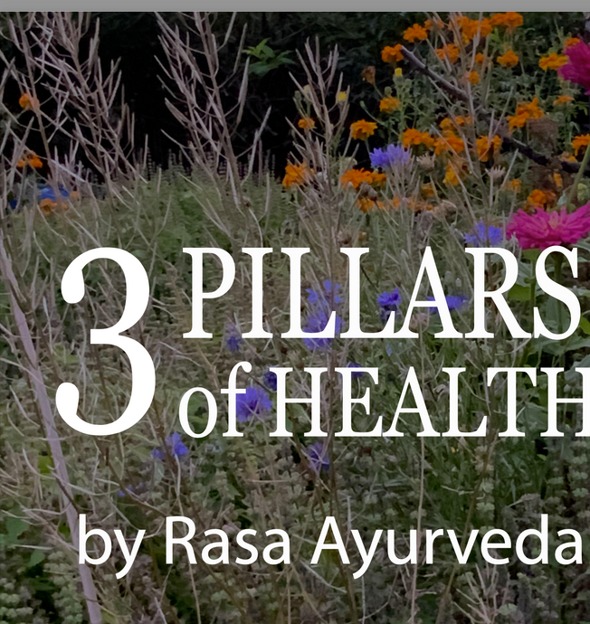 3 PILLARS OF HEALTH by Rasa Ayurveda