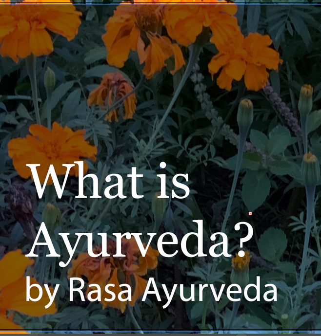 What is Ayurveda? By Rasa Ayurveda