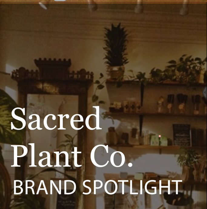 Brand Spotlight: Sacred Plant Co.