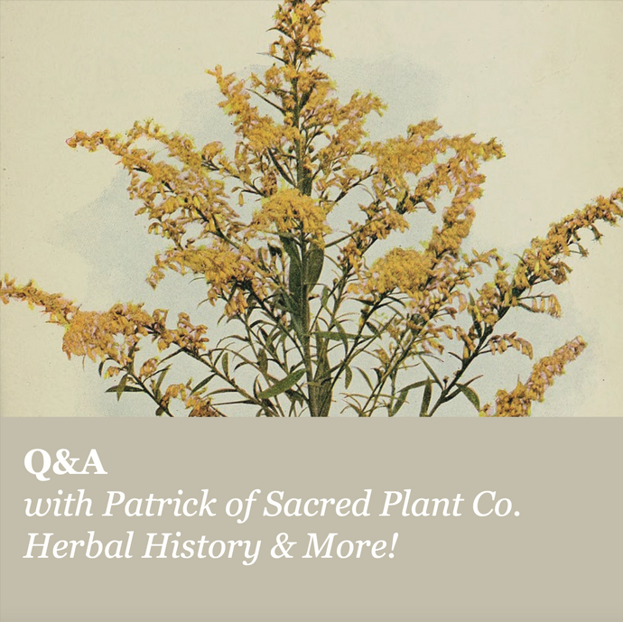 Q & A with Patrick of Sacred Plant Co! Herbal History & More!