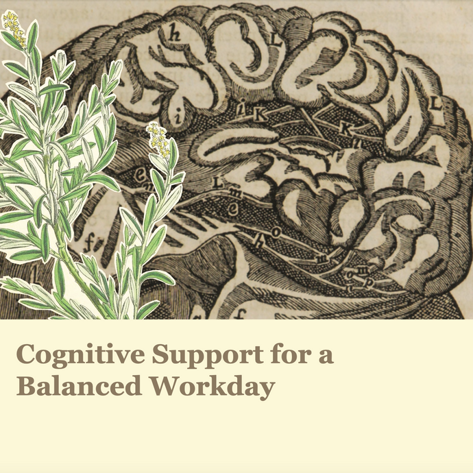 Cognitive Support for a Balanced Workday