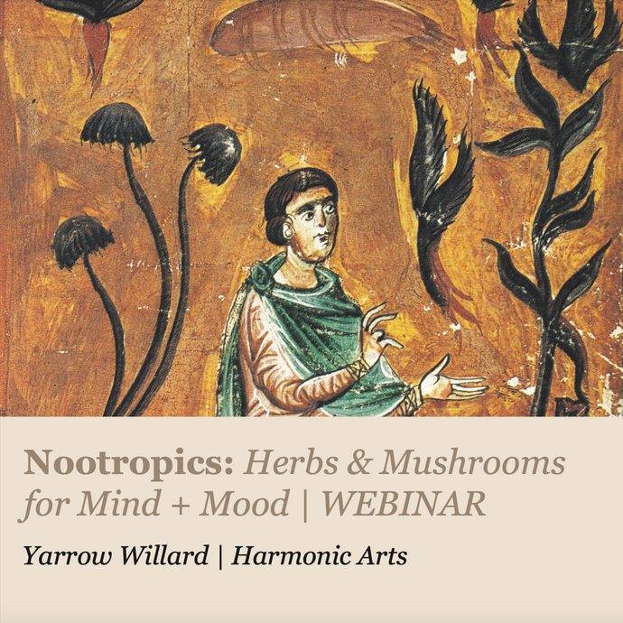 Harmonic Arts Webinar | Nootropics: Herbs for Mind + Mood with Yarrow Willard