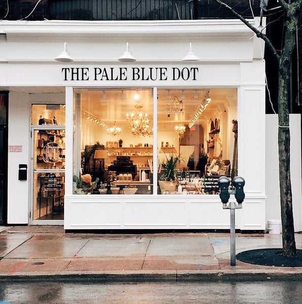 THE PALE BLUE DOT ; AN INTRO