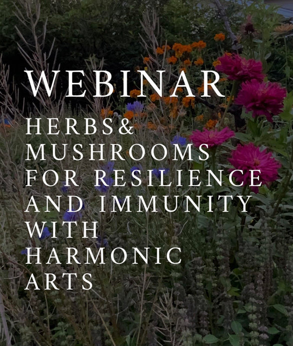 Webinar - Herbs & Mushrooms for Resilience and Immunity with Harmonic Arts