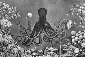 Octopus's Garden Art Print Mary Luciani