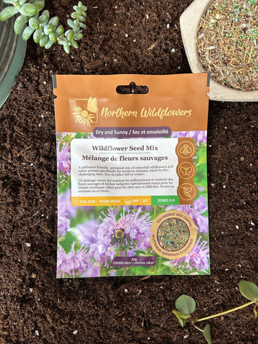 Northern Wildflowers Seed Mix - Dry and Sunny