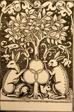 Load image into Gallery viewer, Book Plate - Rabbits