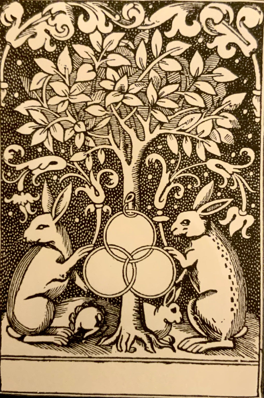 Book Plate - Rabbits