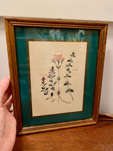 Load image into Gallery viewer, Lovely Framed Floral Art