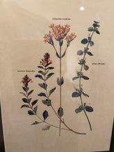 Load image into Gallery viewer, Lovely Framed Floral Art