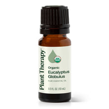 Load image into Gallery viewer, Organic Eucalyptus Globulus Essential Oil 10 mL