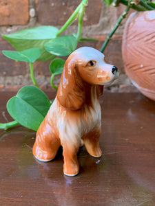 Bone China Cocker Spaniel