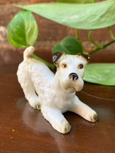 Bone China Terrier