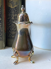 Load image into Gallery viewer, Enchanting Silver Plated Salt Shaker