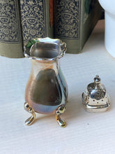 Load image into Gallery viewer, Enchanting Silver Plated Salt Shaker