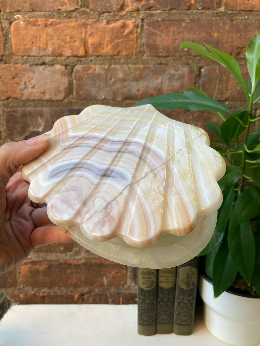 Onyx Alabaster Marble Clam Shell