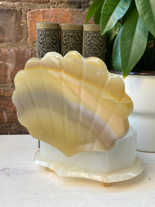 Onyx Alabaster Marble Clam Shell