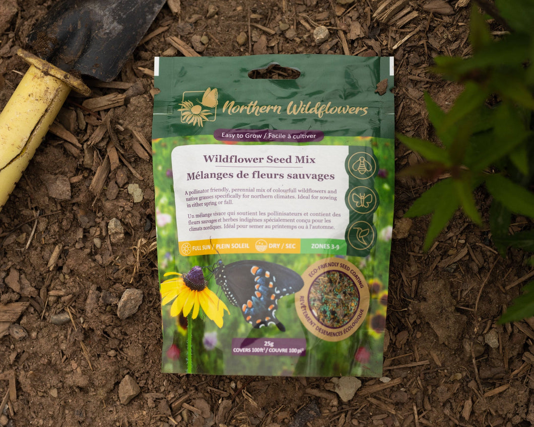 Northern Wildflowers Seed Mix - Easy to Grow