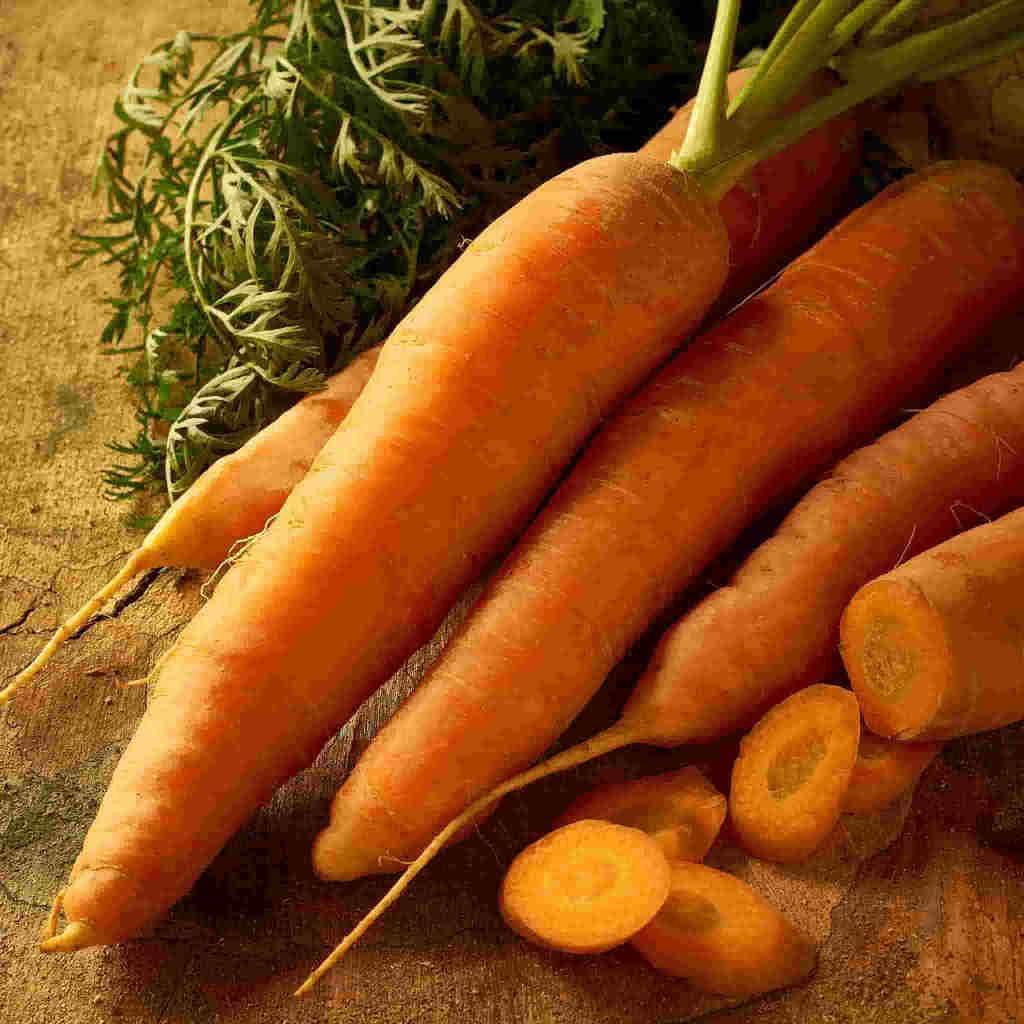 Organic Non-GMO Scarlett Nantes Carrot Seeds