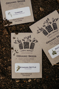 Organic Non-GMO Chives Seeds
