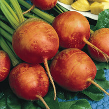 Load image into Gallery viewer, Organic Non-GMO Golden Detroit Beet Seeds