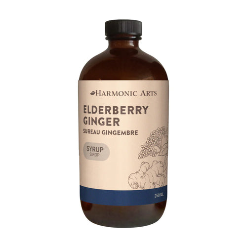 Elderberry Ginger Syrup - Harmonic Arts