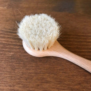 Face Brush
