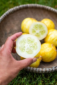 Organic Non-GMO Lemon Cucumber Seeds