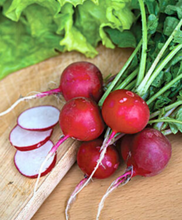 Load image into Gallery viewer, Organic Non-GMO Cherrybelle Radish Seeds