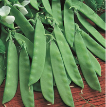 Load image into Gallery viewer, Organic Non-GMO Oregon Sugar Snow Peas