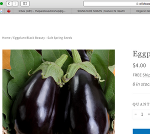 Organic Non-GMO Black Beauty Eggplant Seeds