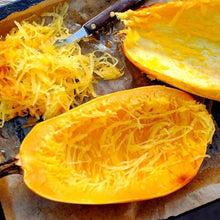 Load image into Gallery viewer, Organic Non-GMO Vegetable Spaghetti Winter Squash Seeds