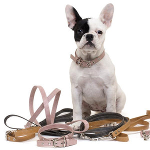Paper Leather Pet Collar or Leash