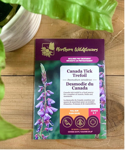 Native Wildflower Canada Tick Trefoil