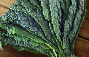 Organic Non-GMO Dinosaur Kale