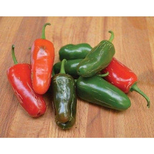 Organic Non-GMO Early Jalapeno Hot Pepper Seeds