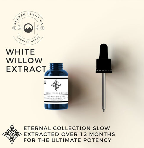 White Willow Bark Extract by Sacred Plant Co