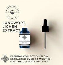 Load image into Gallery viewer, Lungwort Lichen Extract by Sacred Plant Co